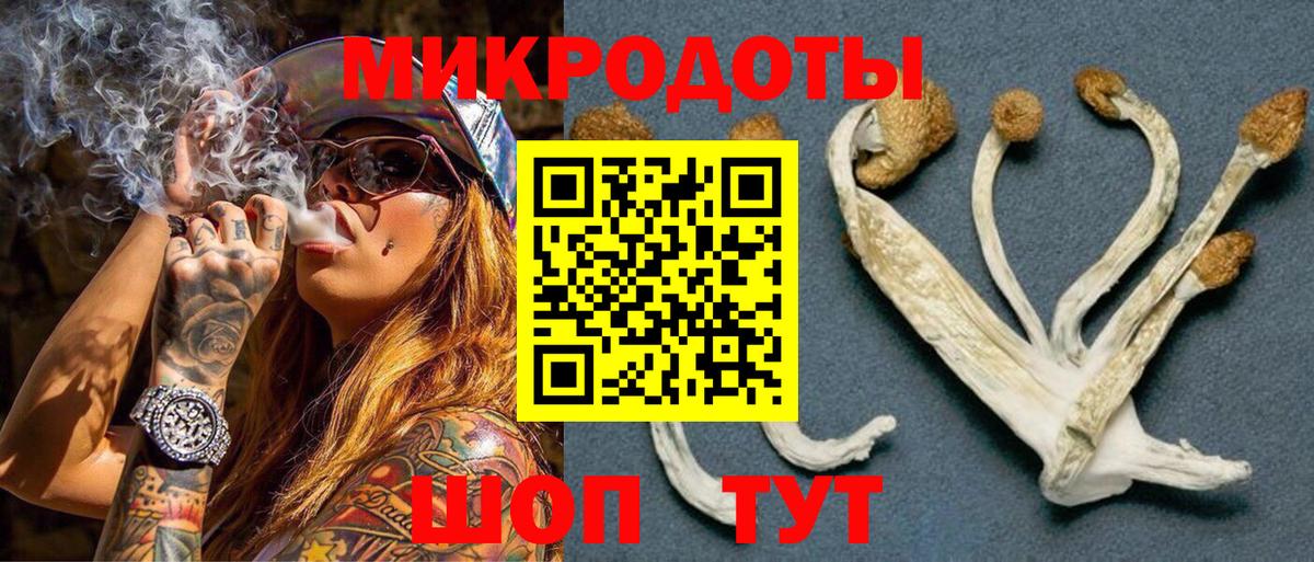 Галлюциногенные грибы Psilocybe  Вход с VPN  Арзамас  Галлюциногенные грибы Cubensis 