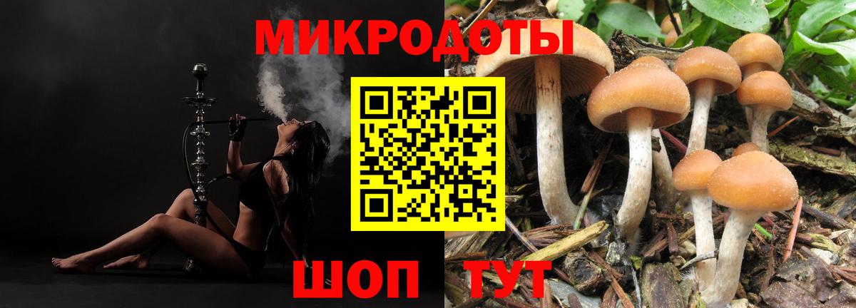 Псилоцибиновые грибы прущие грибы Арзамас